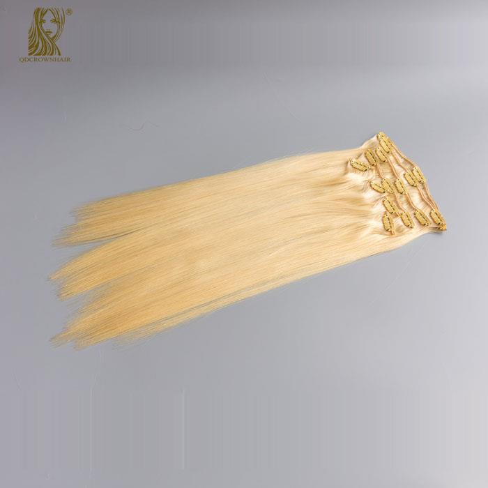 100 Human Remy Hair Extension Clip On